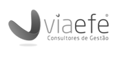 Website VIAEFE